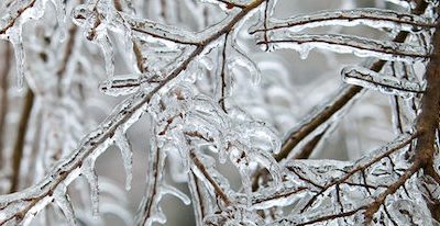 January 16 In-Person Worship Canceled