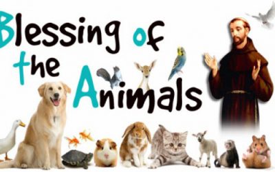 Blessing of the Animals – October 30
